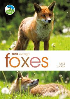 Coperta cărții RSPB Spotlight: Foxes