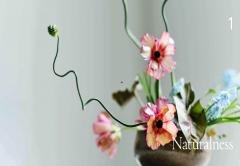Ikebana Unbound