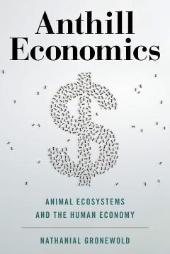 Anthill Economics