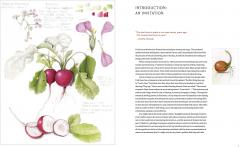 The Joy of Botanical Drawing