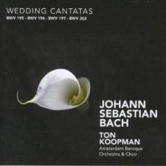 Johan Sebastian Bach: Wedding Cantatas 