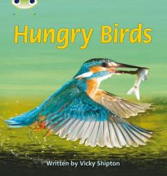 Bug Club Phonics Non-fiction Set 23 - Hungry Birds