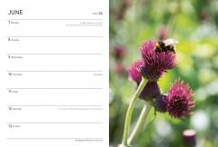 Royal Horticultural Society Wild in the Garden Pocket Diary 2021