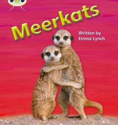 Coperta cărții Meerkats