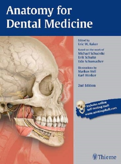 Anatomy for Dental Medicine - Michael Schuenke, Erik Schulte, Udo ...