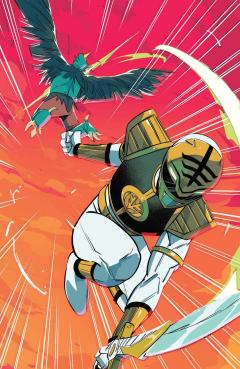 Mighty Morphin Power Rangers 