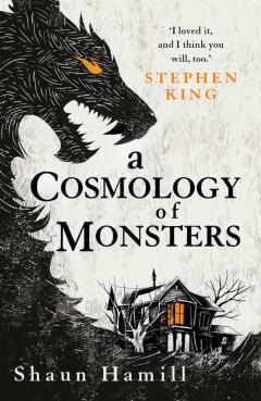 Cosmology of Monsters