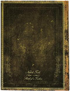 Agenda 2021 - Ultra, Horizontal - Tesla, Sketch of a Turbine