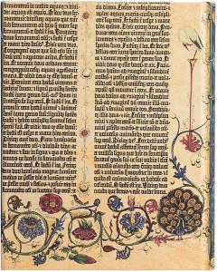 Agenda 2021 - Ultra, Verso - Genesis