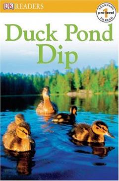 Duck Pond Dip