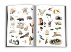 Lipesc, colorez si invat - Familii de animale