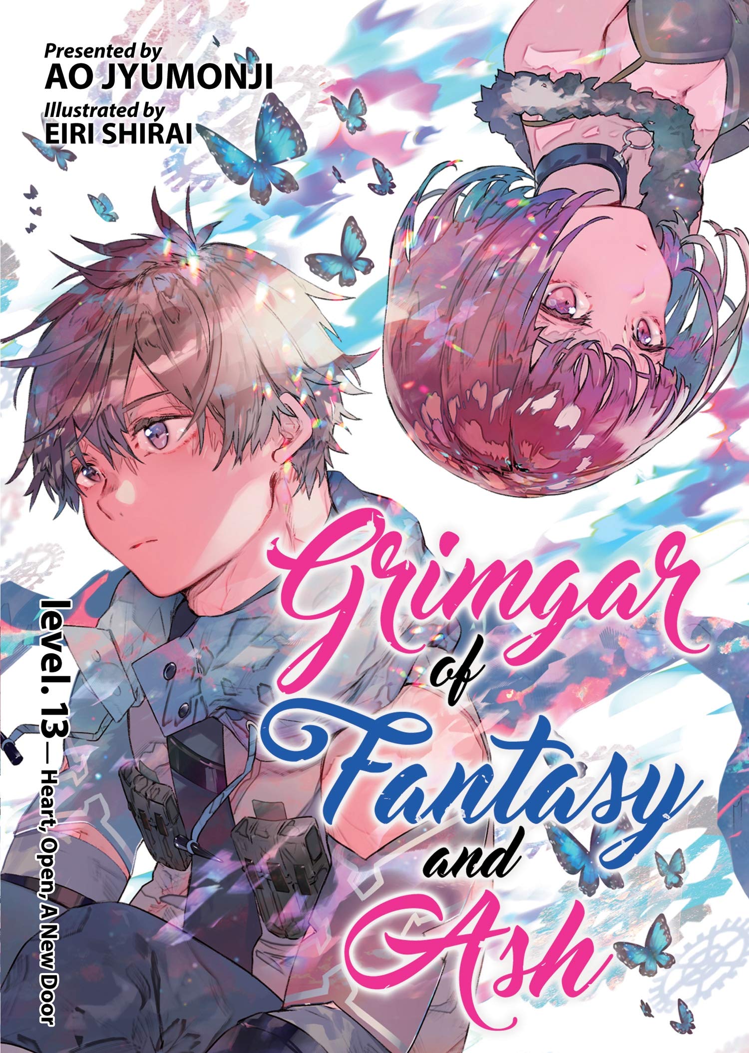 Grimgar of Fantasy and Ash (Light Novel) - Volume 13