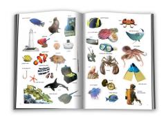 Lipesc, colorez si invat - Lumea subacvatica