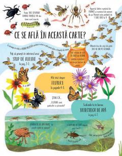 Fluturi si alte insecte