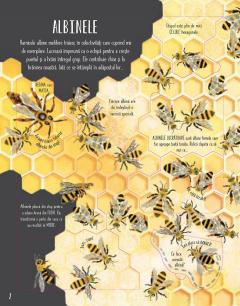 Fluturi si alte insecte