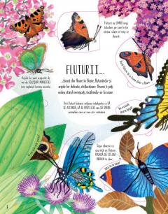 Fluturi si alte insecte