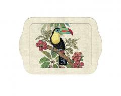 Tava - Petit Amis Toucan