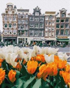 Set picturi pe numere - Amsterdam, 40x50 cm