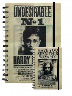 Carnet 3D - Harry Potter - Sirius and Harry