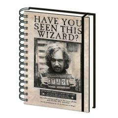 Carnet 3D - Harry Potter - Sirius and Harry