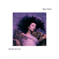 Hounds of Love - Vinyl