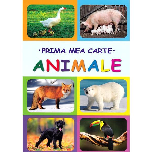 Prima mea carte - Animale