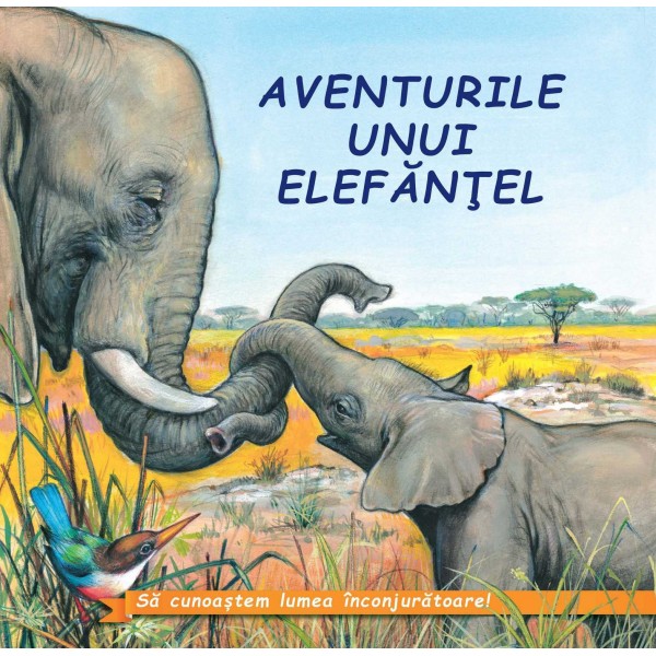 Aventurile unui elefantel﻿