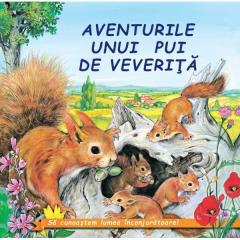 Coperta cărții: Aventurile unui pui de veverita - eleseries.com
