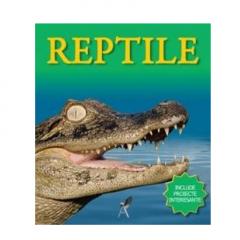 Reptile