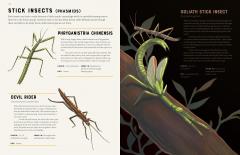 Encyclopedia of Insects