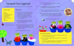 What the Ladybird Heard