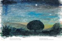 Every Color of Light