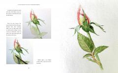 The Kew Gardens Botanical Artist