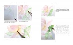 The Kew Gardens Botanical Artist