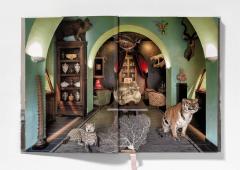 Cabinet of Curiosities