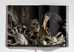 Cabinet of Curiosities