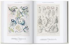 The Art and Science of Ernst Haeckel