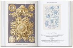 The Art and Science of Ernst Haeckel