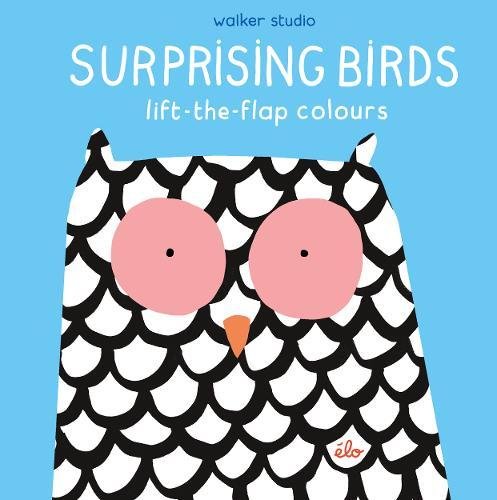 Surprising Birds - Lift-the-Flap Colours