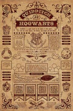 Poster - Quidditch At Hogwarts - Harry Potter