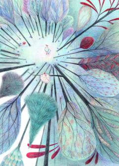 Povestea unei colivii