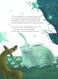 Povestea unei micute caprioare