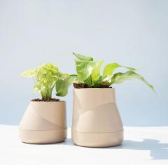 Ghiveci - Hill Pot S (crem)