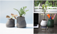 Ghiveci - Hill Pot S (crem)