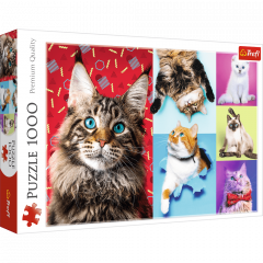 Puzzle 1000 piese - Happy Cats