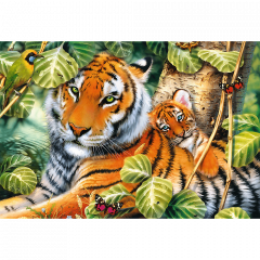 Puzzle 1500 piese - Two Tigers
