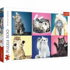 Puzzle 500 piese - Kittens