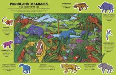 Where's the Dinosaur?