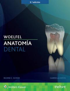 Woelfel. Anatomia dental