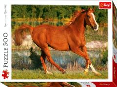 Puzzle 500 de piese - The beauty of gallop
